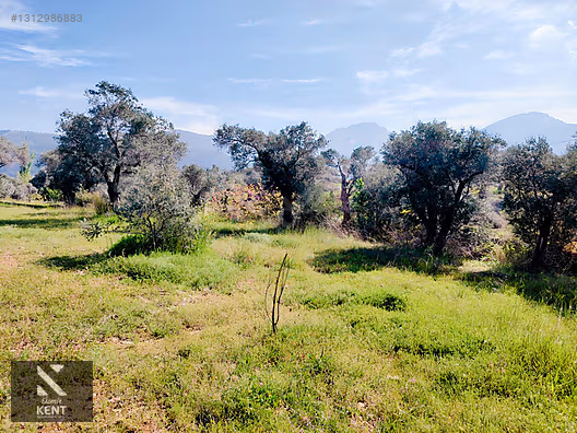 Kemalpaşa Dereköy'de Satılık 4850 m2 Bahçe - İZMİR KEMALPAŞA fotoğraf 46