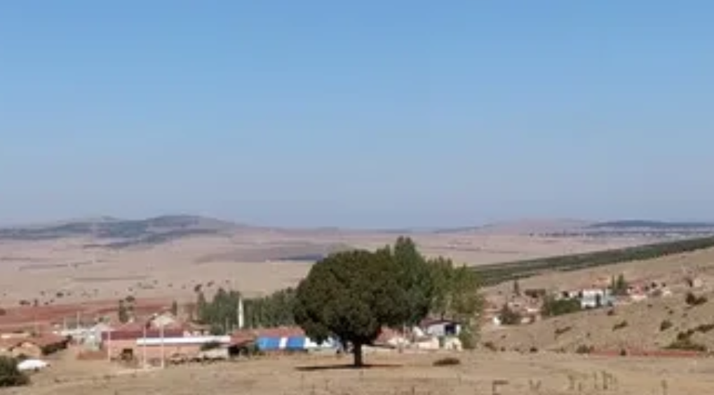 KÜTAHYA ALTINTAŞ CUMHURİYET KÖYÜNDE 245 M² ARSAMIZ SATILIKTIR. - KÜTAHYA ALTINTAŞ fotoğraf 10