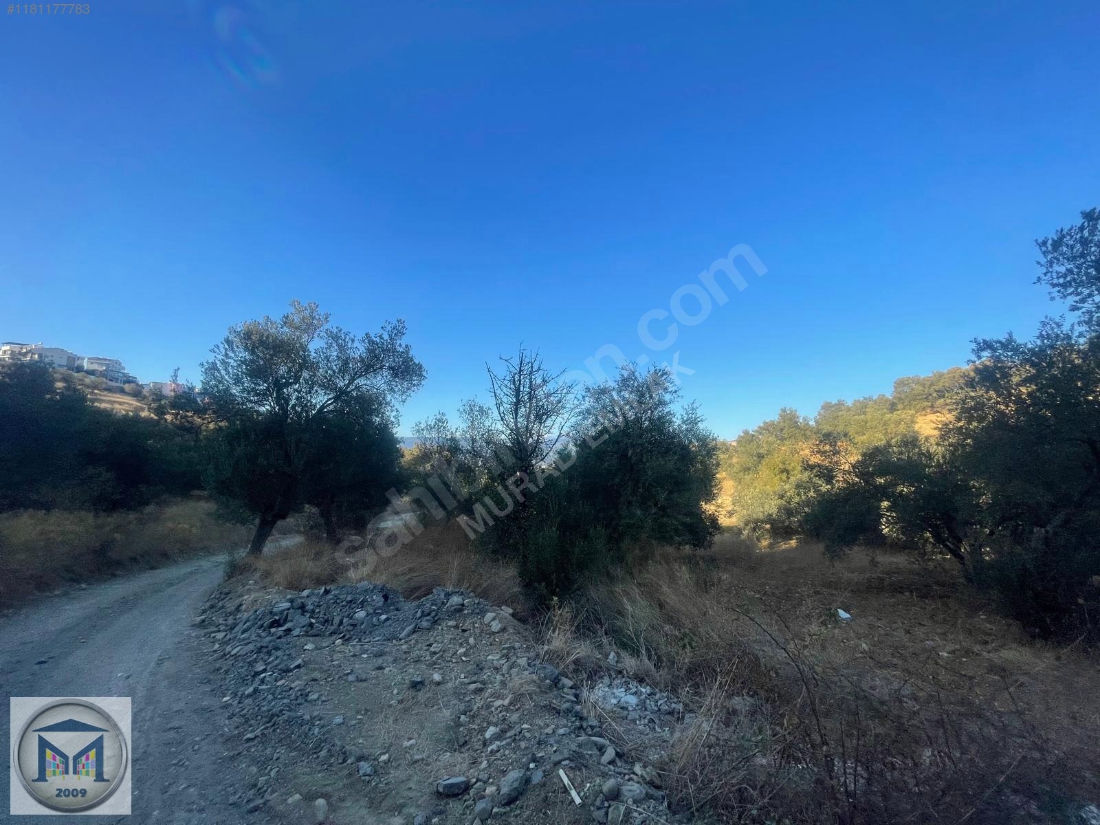 PELİTKÖY SAHİLDE İMARA 650 METRE SATILIK 6.500M2 ZEYTİNLİK - BALIKESİR BURHANİYE fotoğraf 11