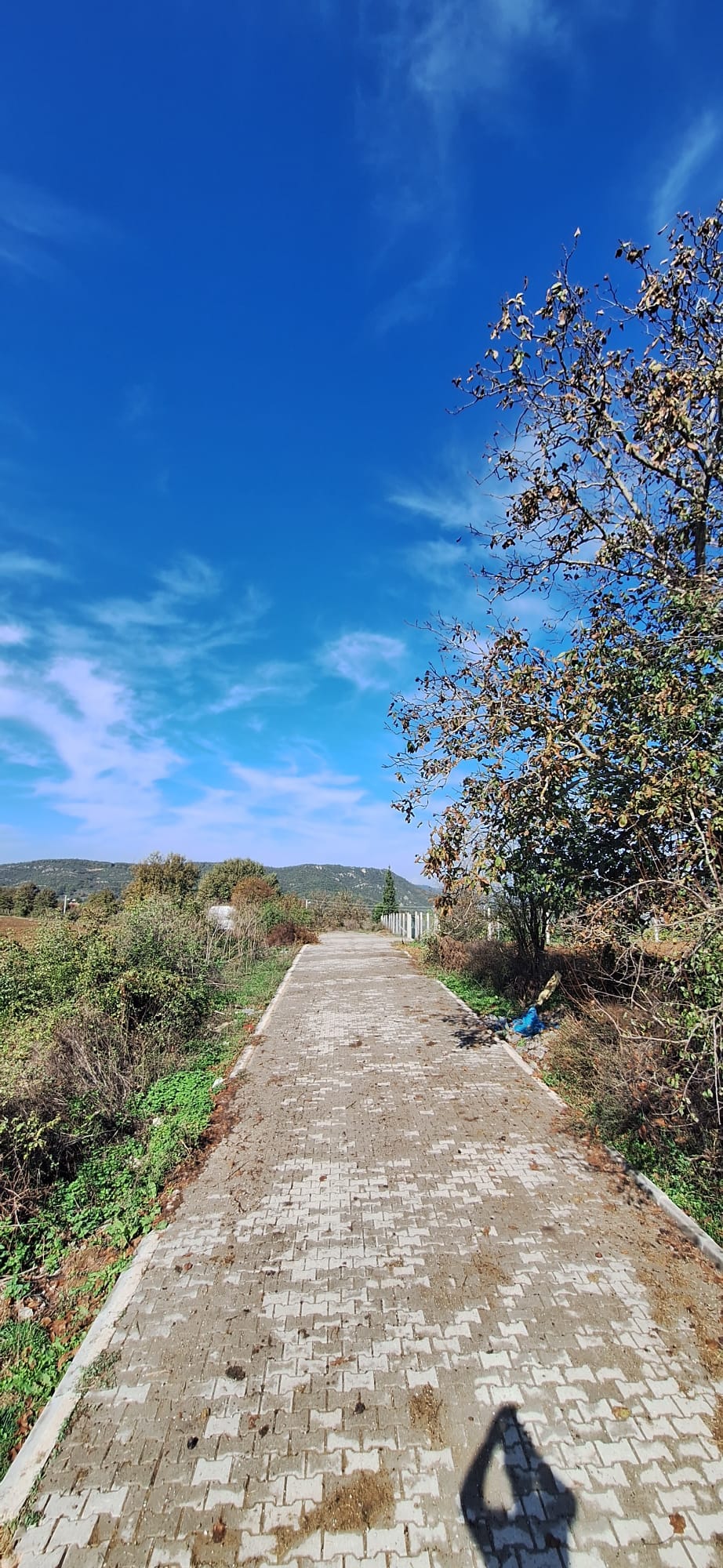 SAHİBINDEN FEVZİYEDE 52246M2 - YALOVA ALTINOVA fotoğraf 8