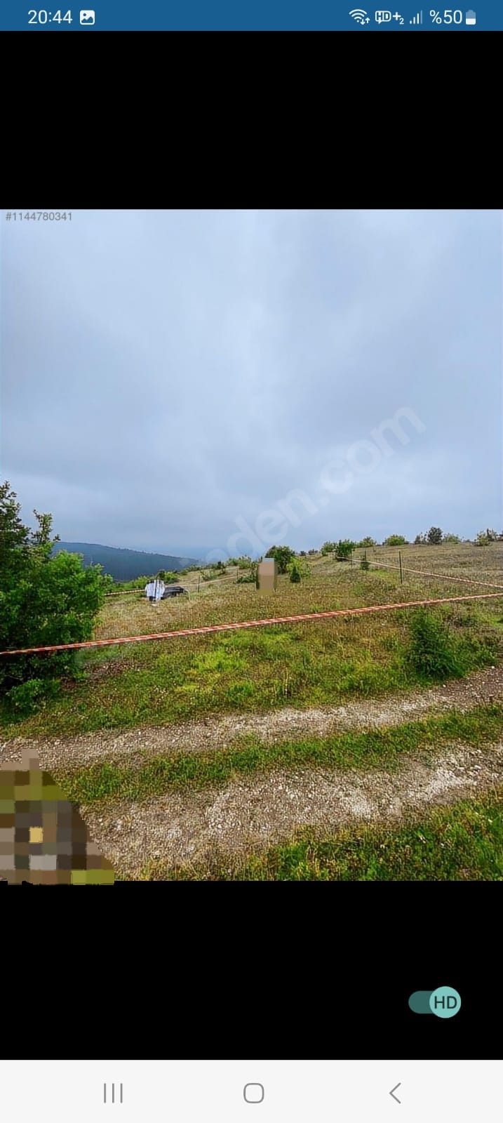 ZONGULDAK EREĞLİ ŞAMLAR KÖYÜNDE 1.265 M² TARLAMIZ SATILIKTIR. - ZONGULDAK EREĞLİ fotoğraf 2