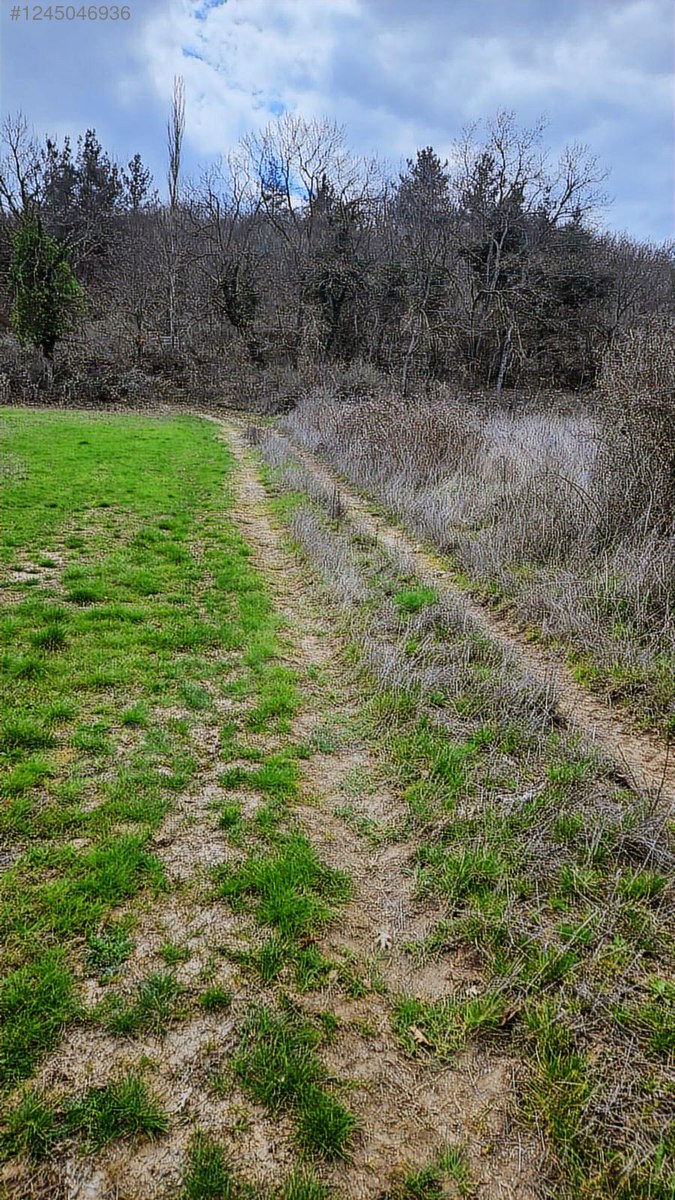 Karabey Köyü'nde Satılık 1800 M² Biber Tarlası - ÇANAKKALE YENİCE fotoğraf 4