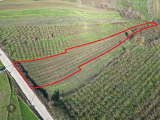KANDIRA ŞEREFSUNGUR'DA 5621m2 ASFALT CEPHE HARİKA ÇİFTLİK YERİ - KOCAELİ KANDIRA fotoğraf 9