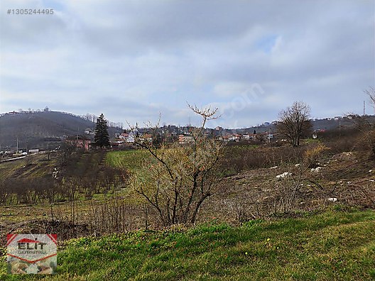 Kocaali Kirazlı'da 4.286m² Fındık Bahçesi ve 780m² İmarlı Arsa - SAKARYA KOCAALİ fotoğraf 29
