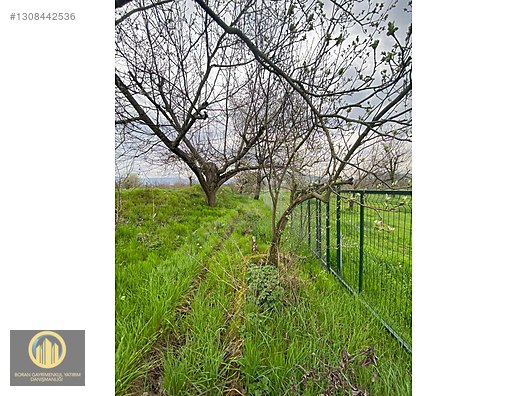 KUCUK YENICEDE RESMI YOLA CEPHE HOBI BAHCESI - BURSA İNEGÖL fotoğraf 14