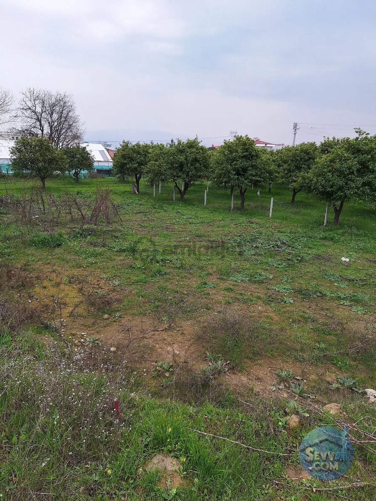 Villalar İmarlı Arsa - AYDIN NAZİLLİ fotoğraf 4