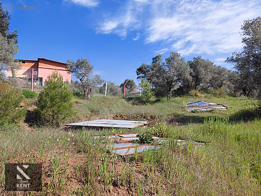 Kemalpaşa Dereköy'de Satılık 4850 m2 Bahçe - İZMİR KEMALPAŞA fotoğraf 26