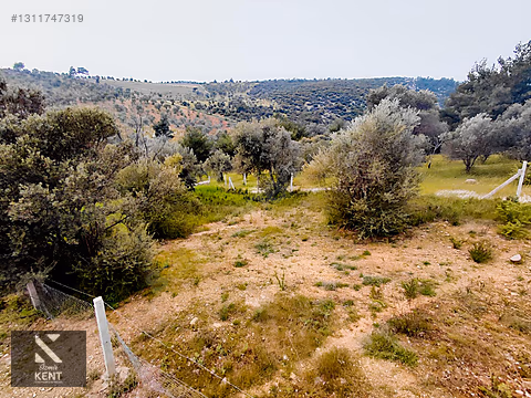 Kemalpaşa Yenmiş'de Satılık Bahçe 406 m2 - İZMİR KEMALPAŞA fotoğraf 13