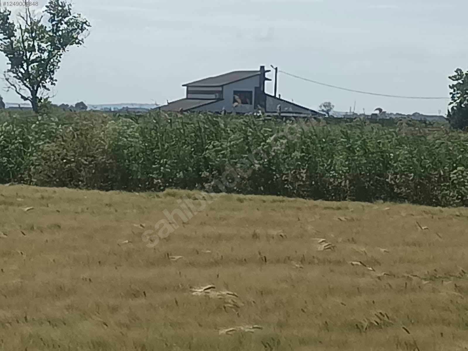 BURSA KARACABEY BAKIRKÖY KÖYÜNDE 2.548 M² TARLA SATILIKTIR - BURSA KARACABEY fotoğraf 3