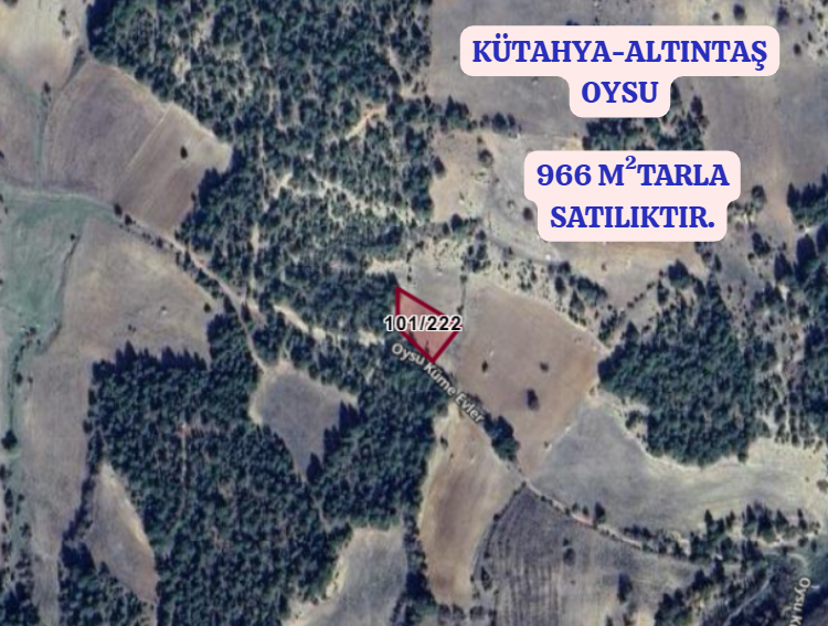 KÜTAHYA ALTINTAŞ OYSU KÖYÜNDE 966 M2 TARLAMIZ SATILIKTIR. - KÜTAHYA ALTINTAŞ fotoğraf 2