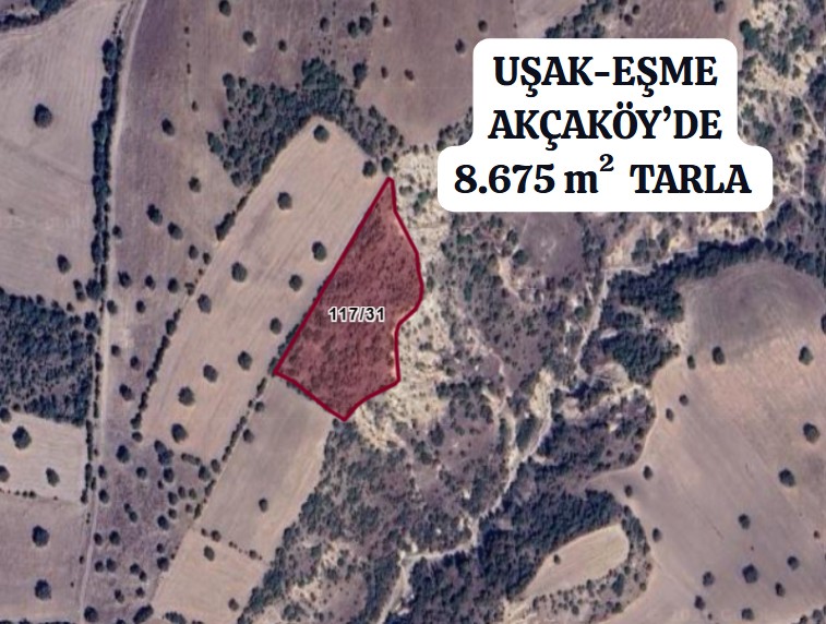 UŞAK EŞME AKÇAKÖY KÖYÜNDE 8.675 M² TARLA SATILIKTIR - UŞAK EŞME fotoğraf 2