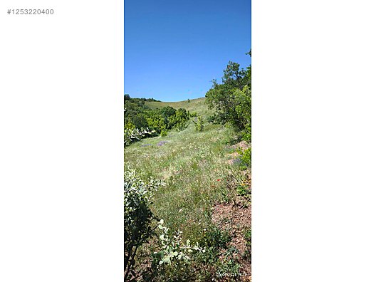 BURSA MUDANYA KAYMAKOBA KÖYÜNDE 537 M TARLA SATILIKTIR - BURSA MUDANYA fotoğraf 11