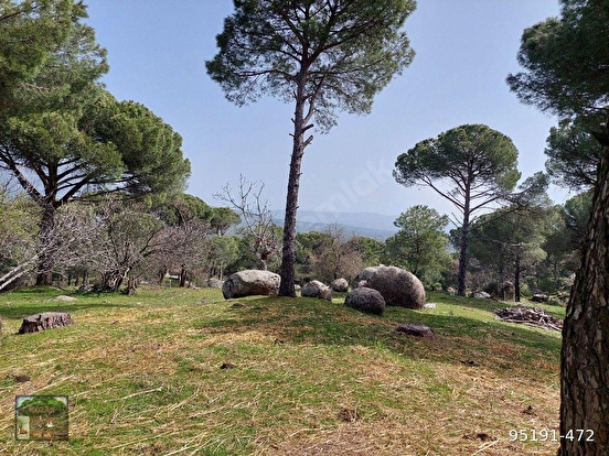 BERGAMA GÖBELLER MAH DE 760 M2 TAPUDA BAĞ GEÇEN MÜSTAKİL TAPU MANZARALI - İZMİR BERGAMA fotoğraf 3