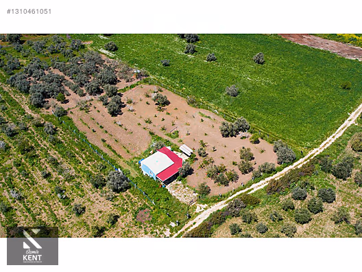 Kemalpaşa Halilbeylide Satılık 3000 m2 Bahçe 40 m2 Ev - İZMİR KEMALPAŞA fotoğraf 7
