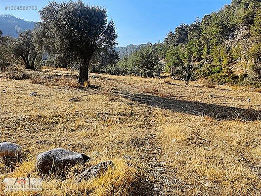 Zeytinköy'de Akbük Yolu Üzerinde, Geleceğin Değeri: 4.188m²tarla - MUĞLA MENTEŞE fotoğraf 7