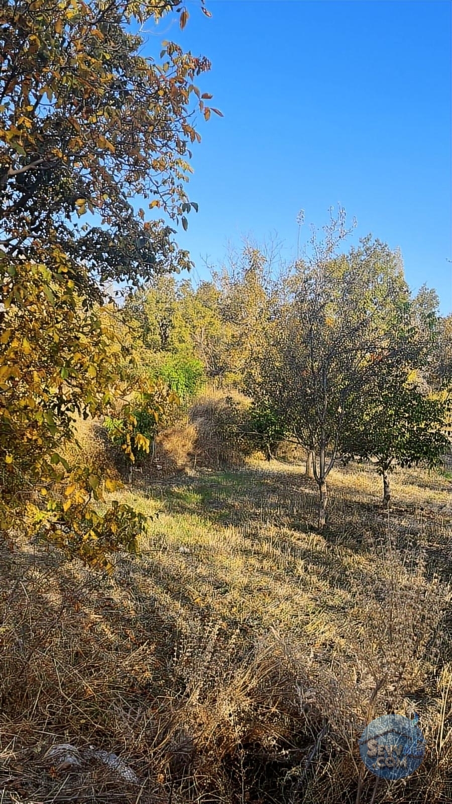 ASYA EVİM GAYRİMENKULDEN SAKARCA MAH.SATILIK ARAZİ - Burdur Ağlasun fotoğraf 7