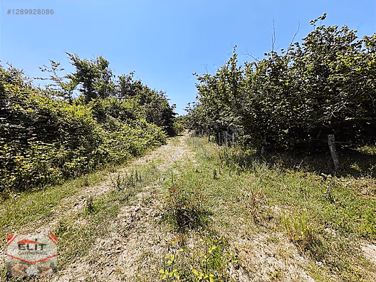 SAKARYA KARASU'DA SATILIK FRSAT KÖY İÇİNDE 635 metre² KUPON ARSA - SAKARYA KARASU fotoğraf 26