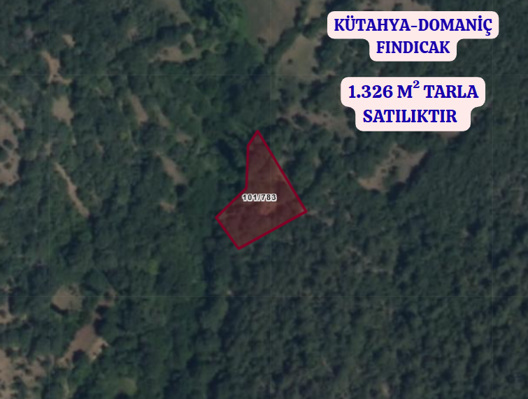KÜTAHYA DOMANİÇ FINDICAK  KÖYÜNDE 1.326 M² TARLA SATILIKTIR - KÜTAHYA DOMANİÇ fotoğraf 2