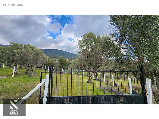 Kemalpaşa Sütçüler Satılık 331 m2 Bahçe - İZMİR KEMALPAŞA fotoğraf 18