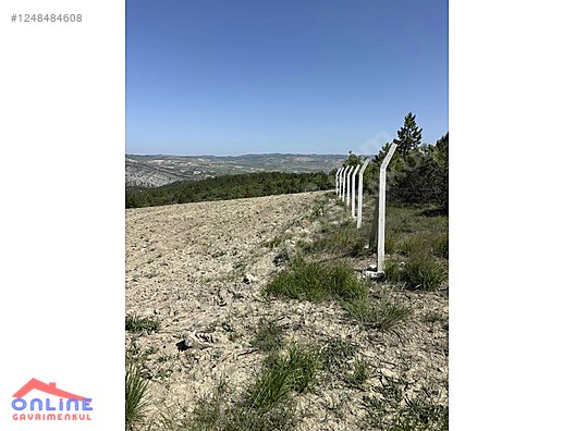 RESMİ YOLLU ARAZİ - BİLECİK YENİPAZAR fotoğraf 5