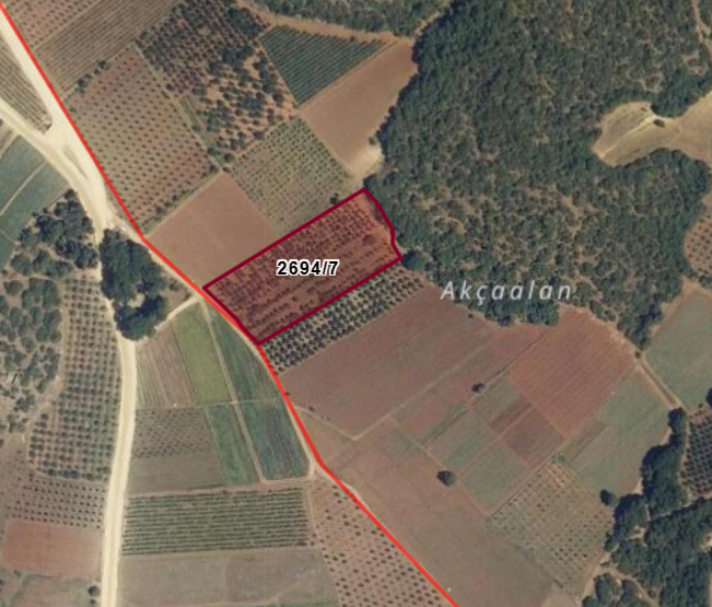BURSA İZNİK YÖRÜKLER KÖYÜNDE 6.068 M TARLA SATILIKTIR - BURSA İZNİK fotoğraf 6