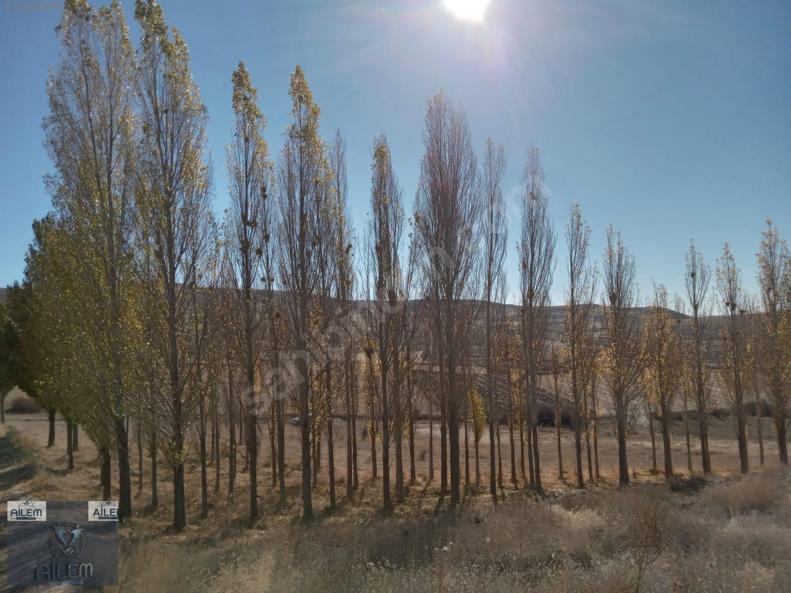 Kayseri Kocasinan Obruk Mahallesinde 6341 m² satılık tarla - KAYSERİ KOCASİNAN fotoğraf 7