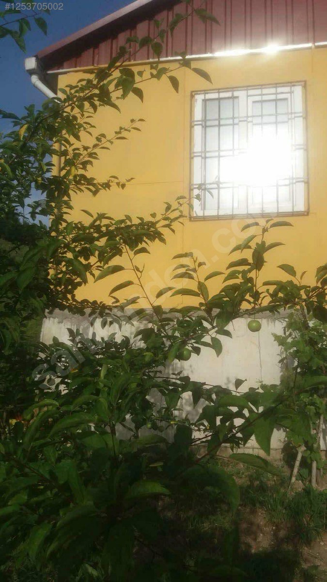BURSA MUDANYA DEREKÖY KÖYÜNDE 2.526 M²  ZEYTİNLİK SATILIKTIR - BURSA MUDANYA fotoğraf 27