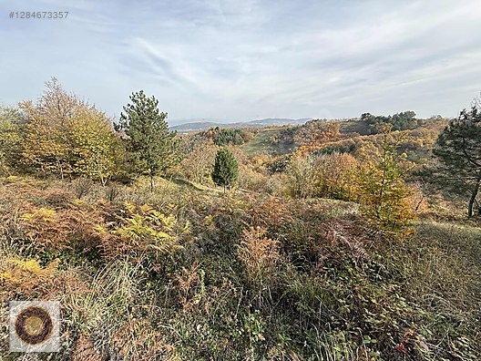 KESTEL LÜTFIYE MH SATILIK 1806M2 TARLA ASVALT YOLA CEPHE - BURSA KESTEL fotoğraf 14