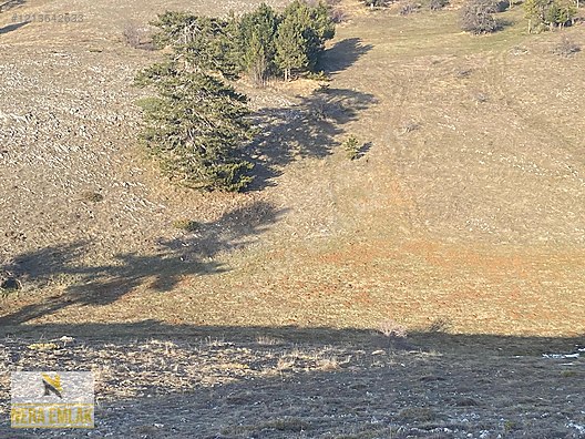 BİLECİK BOZÜYÜK'DE TOPRAĞIM OLSUN DİYENE TEK TAPU KELEPİR TARLA - BİLECİK BOZÜYÜK fotoğraf 10