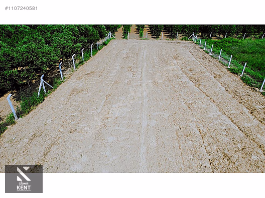 Kemalpaşa Aşağıkızılca Satılık Bahçe 1.200 m2 Tek Tapu - İZMİR KEMALPAŞA fotoğraf 39