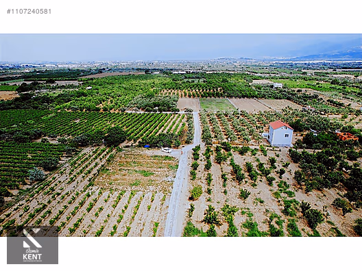 Kemalpaşa Aşağıkızılca Satılık Bahçe 1.200 m2 Tek Tapu - İZMİR KEMALPAŞA fotoğraf 3