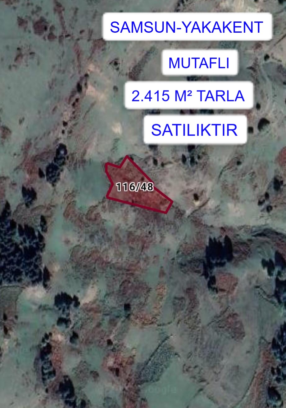 SAMSUN YAKAKENT MUTAFLI MAH. 2.415M² TARLA SATILIKTIR - SAMSUN YAKAKENT fotoğraf 2