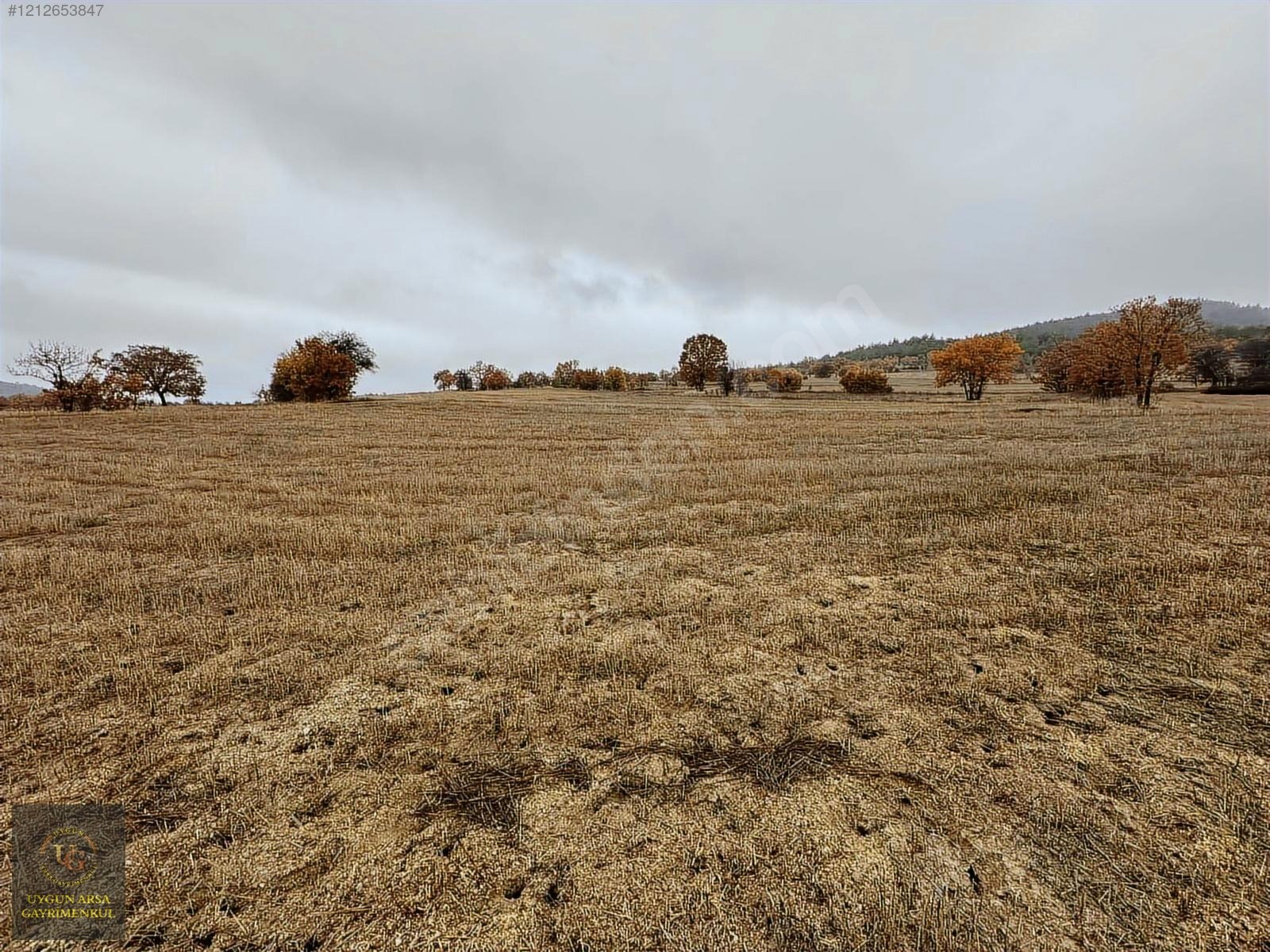 BOLU GÖYNÜK KARAARDIÇ'TA 4.921 M2 UYGUN ARSA - BOLU GÖYNÜK fotoğraf 23