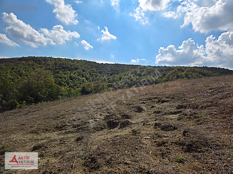 İZMİT KAYNARCA'DA TERAS KONUMDA 1449 M2 SATILIK FIRSAT TARLA - KOCAELİ İZMİT fotoğraf 5