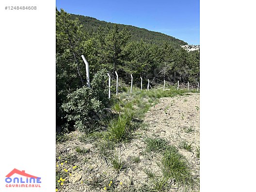 RESMİ YOLLU ARAZİ - BİLECİK YENİPAZAR fotoğraf 11
