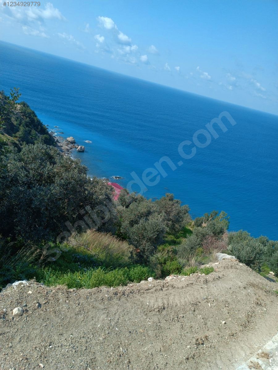 ARSUZDA DENİZE SIFIR ACİL SATILIK ARSA  1.500 M² Hatay / Arsuz / Işıklı Mh. - HATAY ARSUZ fotoğraf 6