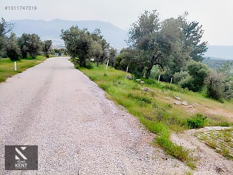 Kemalpaşa Yenmiş'de Satılık Bahçe 406 m2 - İZMİR KEMALPAŞA fotoğraf 19