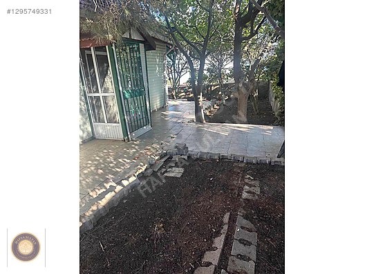 YALOVA ARMUTLU DA İÇİNDE YAZLIK EV MEVCUT - YALOVA ARMUTLU fotoğraf 12