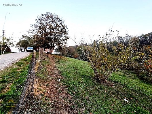 SAKARYA-KARAPÜRÇEK-MESUDİYE MAHALLE MERKEZİNDE SATILIK TARLA - SAKARYA KARAPÜRÇEK fotoğraf 2