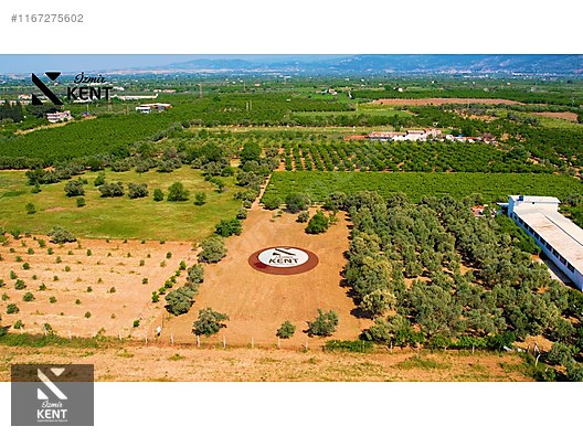 Kemalpaşa Armutlu Satılık 2300 m2 Bahçe Müstakil Parsel Tek Tapu - İZMİR KEMALPAŞA fotoğraf 33