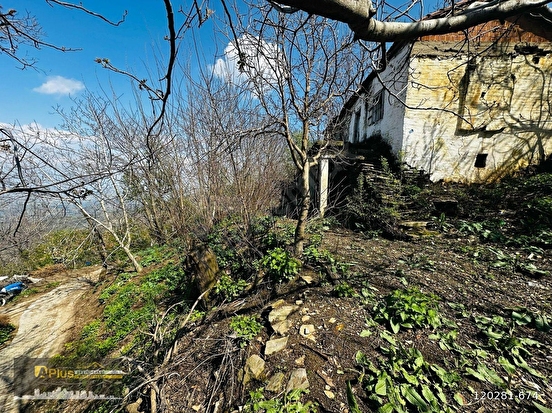 A PLUS GAYRİMENKULDEN DALLIK MAH. BİN M2 ARSALI SATILIK MÜS. EV - İZMİR TİRE fotoğraf 4