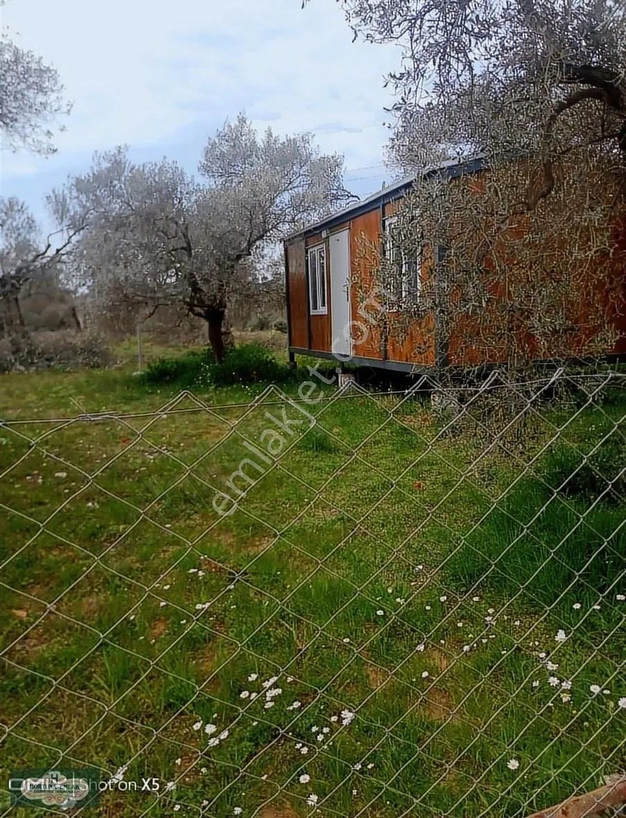 İzmir Torbalı Helvacı Köyünde 260m2 Ata Toprağı Satılık - İZMİR TORBALI fotoğraf 4