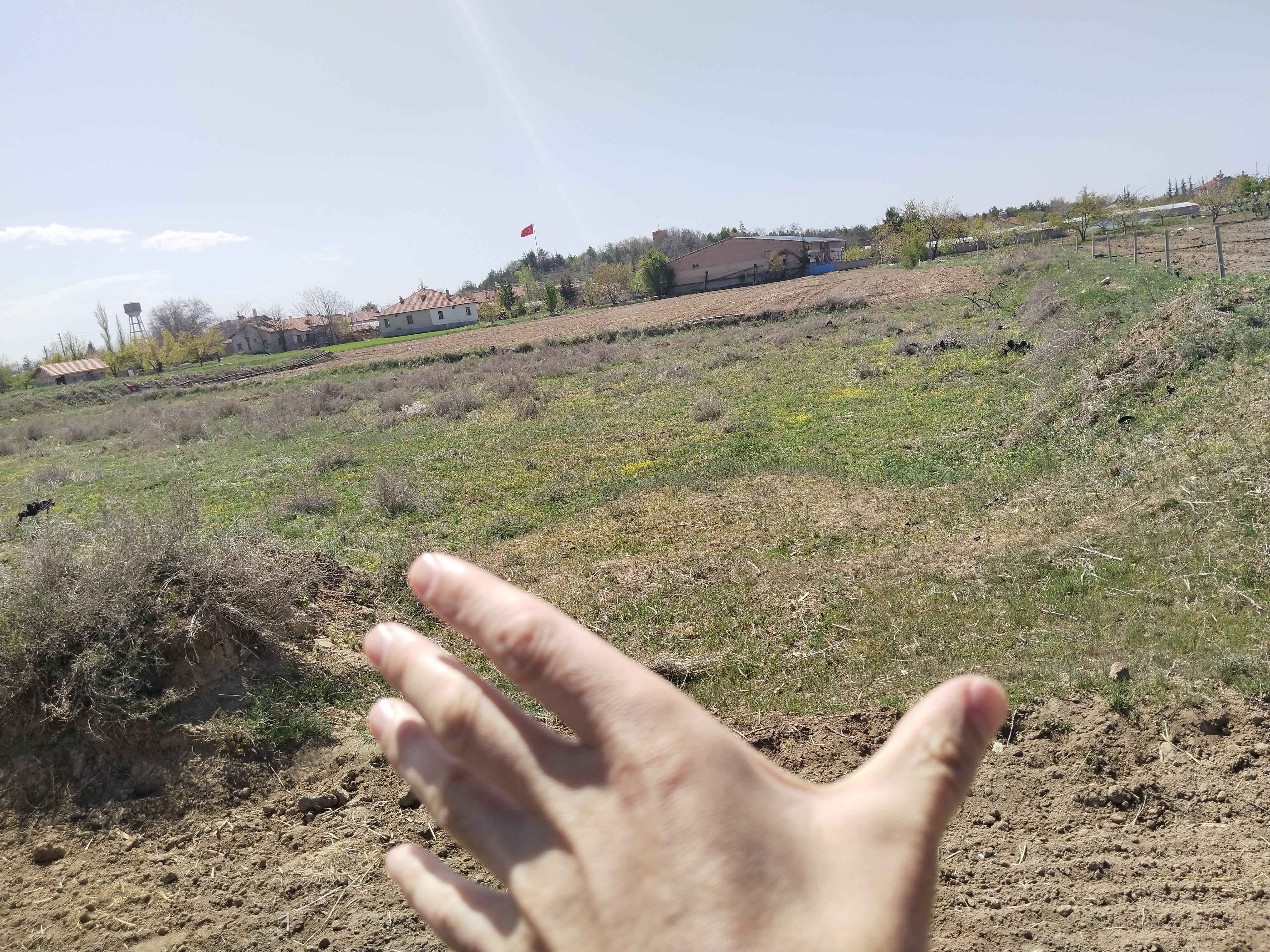 KONYA ÇUMRA ALİBEYHÜYÜĞÜ  KÖYÜNDE  272  M² BAĞ SATILIKTIR - KONYA ÇUMRA fotoğraf 15