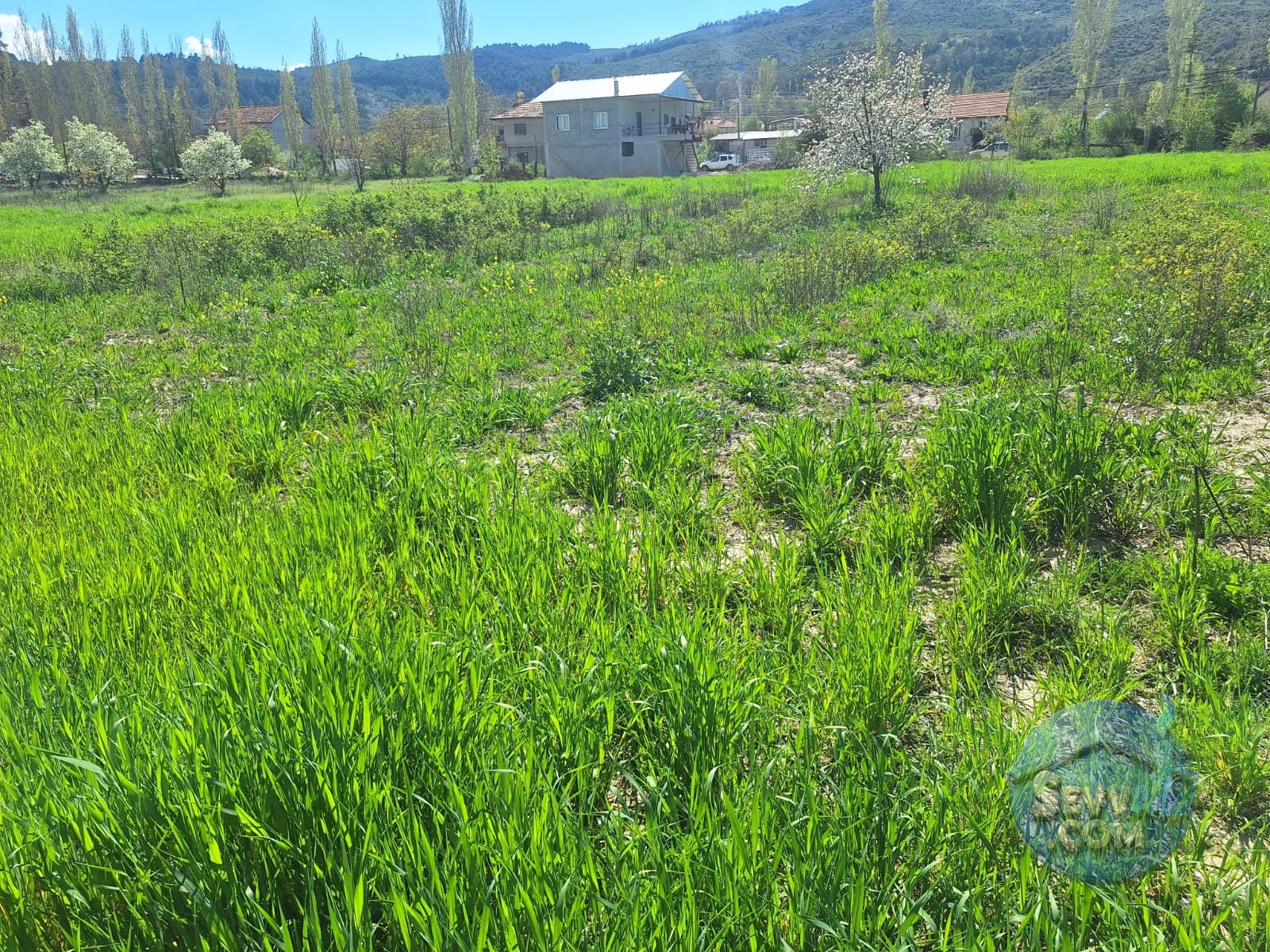 AĞLASUN KİBRİT KÖYÜNDE SATILIK FIRSAT ARAZİ - Burdur Ağlasun fotoğraf 10