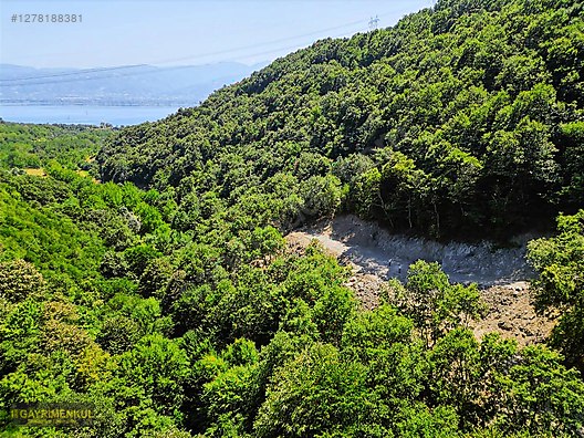 TAKASLI TAMAMEN İZOLE ORMAN İÇİNDE İNŞAAT RUHSATLI EMSALSİZ ARSA - KOCAELİ KARTEPE fotoğraf 16