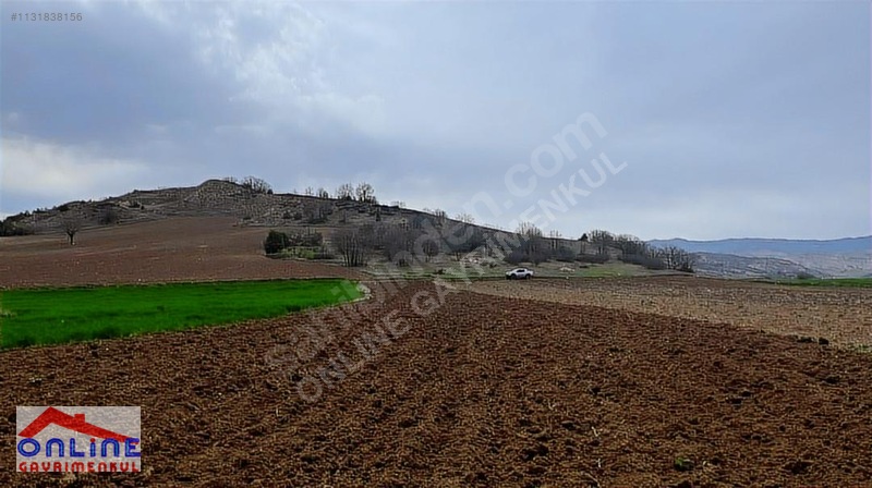 Araç Takaslı - BİLECİK YENİPAZAR fotoğraf 8