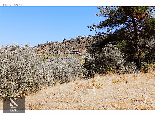 Kemalpaşa Aşağıkızılca Satılık 4536 m2 Bahçe - İZMİR KEMALPAŞA fotoğraf 6