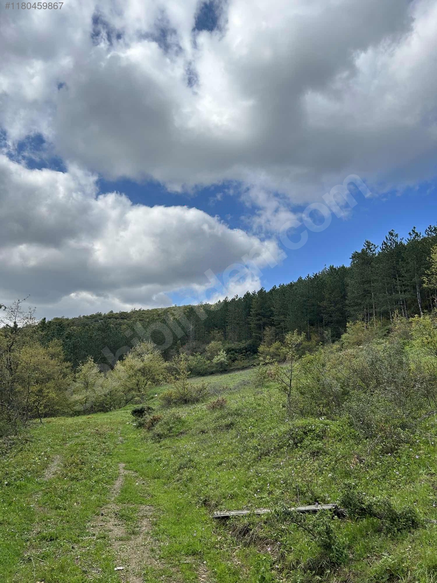 BURSA İZNİK GÜRMÜZLÜ  KÖYÜNDE 3.300 M² TARLA SATILIKTIR - BURSA İZNİK fotoğraf 4