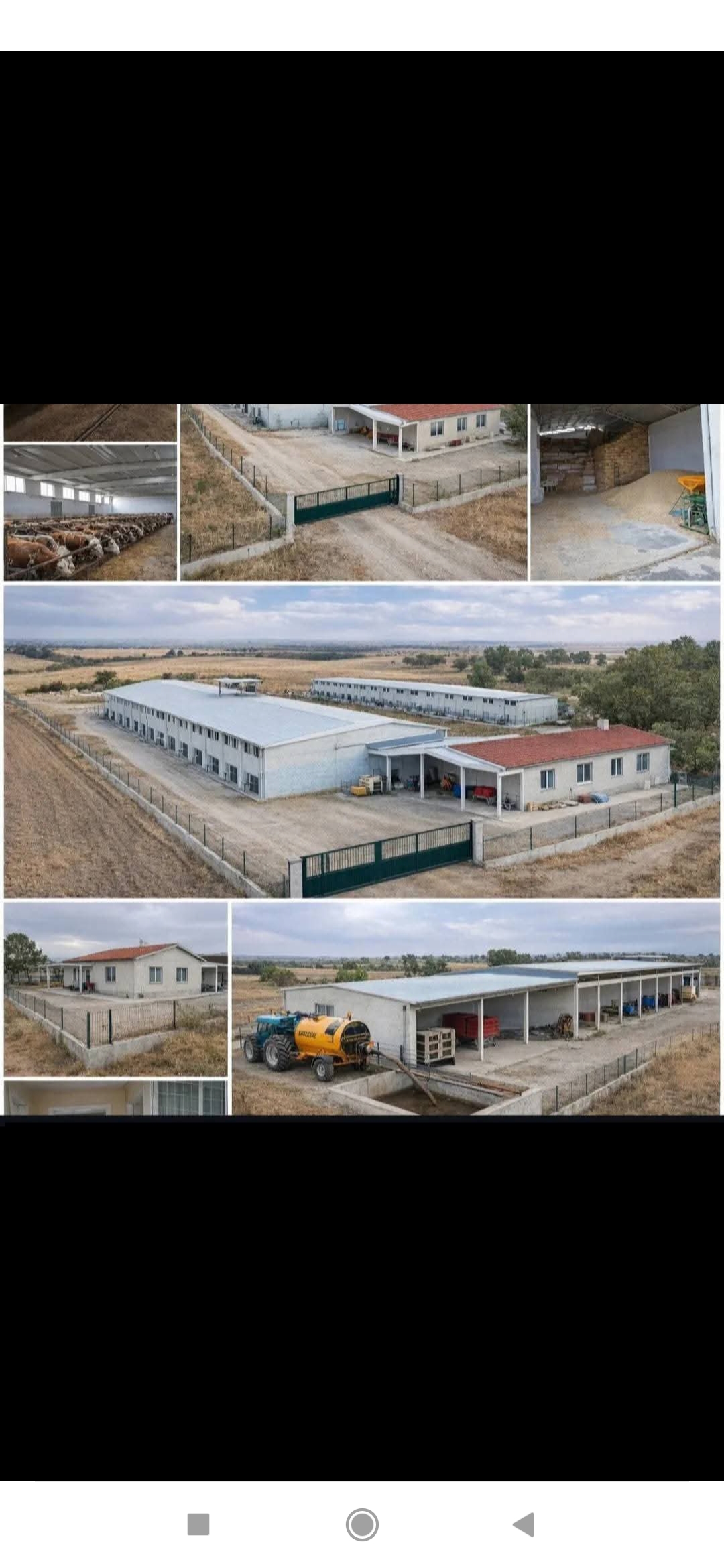 Satılık büyük baş hayvan çiftliği  - UŞAK SİVASLI fotoğraf 11