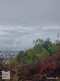 YALOVA ALTINOVA KAYTAZDERE'DE 7180M2 YATIRIMLIK TARLA BİR BÜLÜMÜ İMARLI 2 PAPSEL - YALOVA ALTINOVA fotoğraf 8